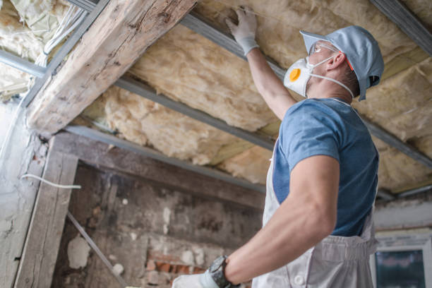 Best Types of Insulation in Fetters Hot Springs Agua Liente, CA